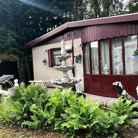 Retro Relax Resort Midden In Het Bos Op De Veluwe In พุทเทิน ภายนอก รูปภาพ