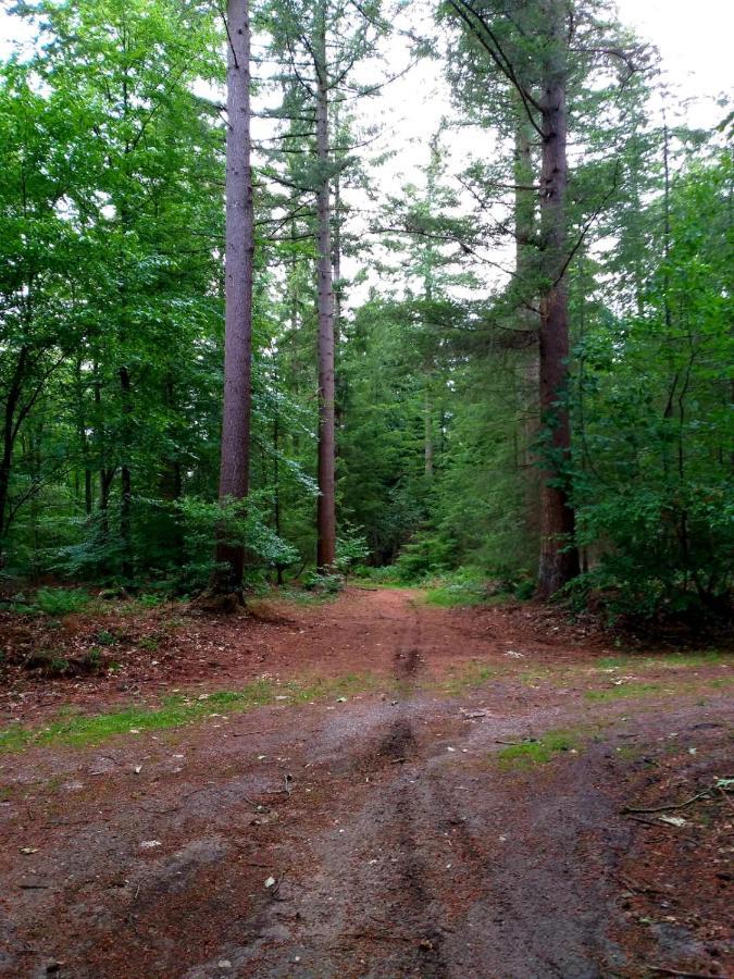 Retro Relax Resort Midden In Het Bos Op De Veluwe In พุทเทิน ภายนอก รูปภาพ